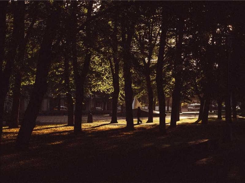 Foundation Established